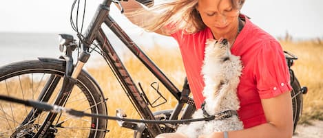 A person sitting on a bicycle with a small dog.