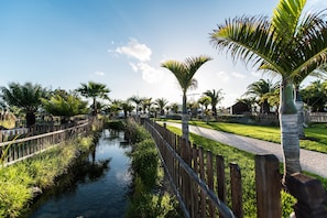 Property grounds - THB Tropical Island Aparthotel (Yaiza)