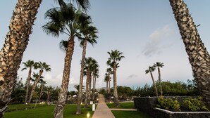 A pathway flanked by palm trees leading to a building. - THB Tropical Island Aparthotel (Yaiza)