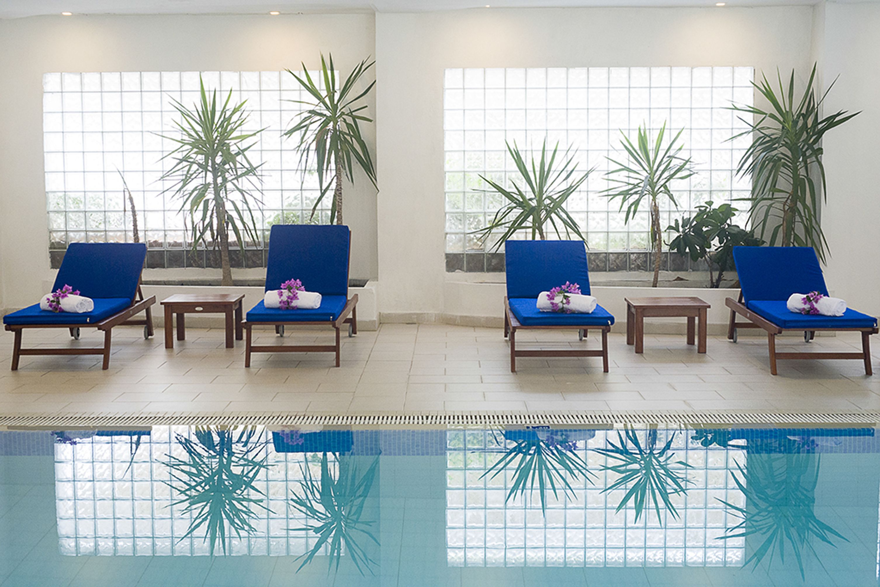 Un área de piscina con sillones reclinables y plantas en macetas.