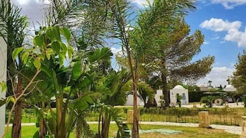 حديقة