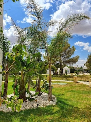Taman