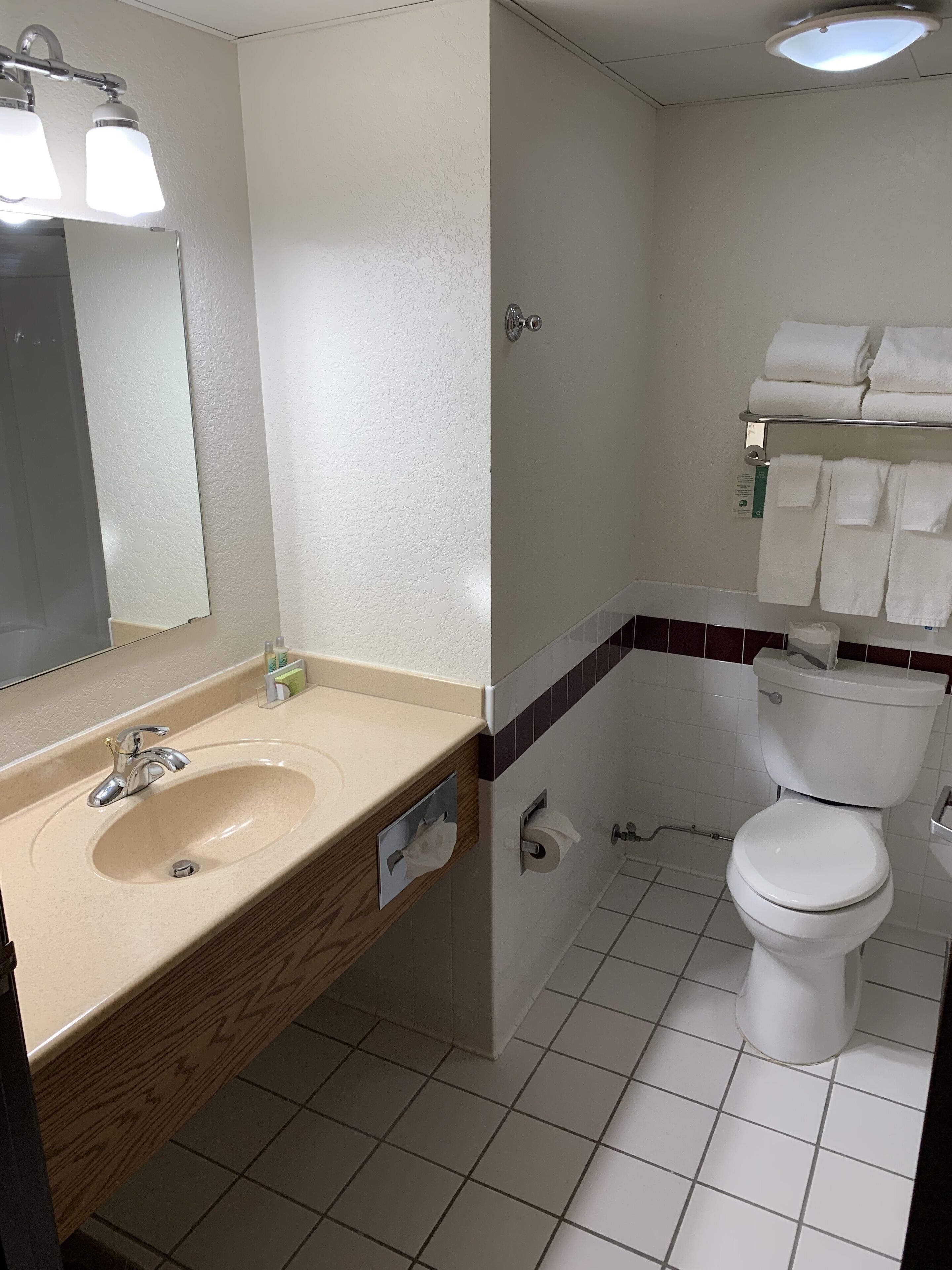 premium single room, 1 king bed, refrigerator & microwave | bathroom | free toiletries, hair dryer, towels