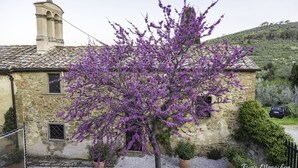 A stone building with a turret and a tree with purple flowers in front. - Relais Villa Belpoggio - Residenza d'Epoca (Loro Ciuffenna)
