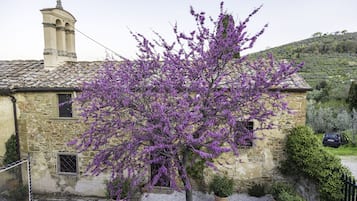 Familienapartment, 1 Schlafzimmer, Küche, zum Garten hin | Minibar, Zimmersafe, Schreibtisch, Bügeleisen/Bügelbrett