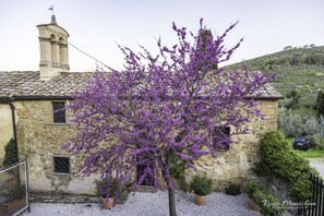 Căn hộ dành cho gia đình, 1 phòng ngủ, bếp, khu vực vườn | Minibar, két bảo mật tại phòng, bàn, bàn ủi/dụng cụ ủi quần áo