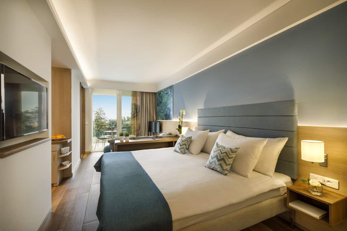 A modern hotel room with a large bed, bedside tables, a flat-screen TV, and a view of the outdoors.