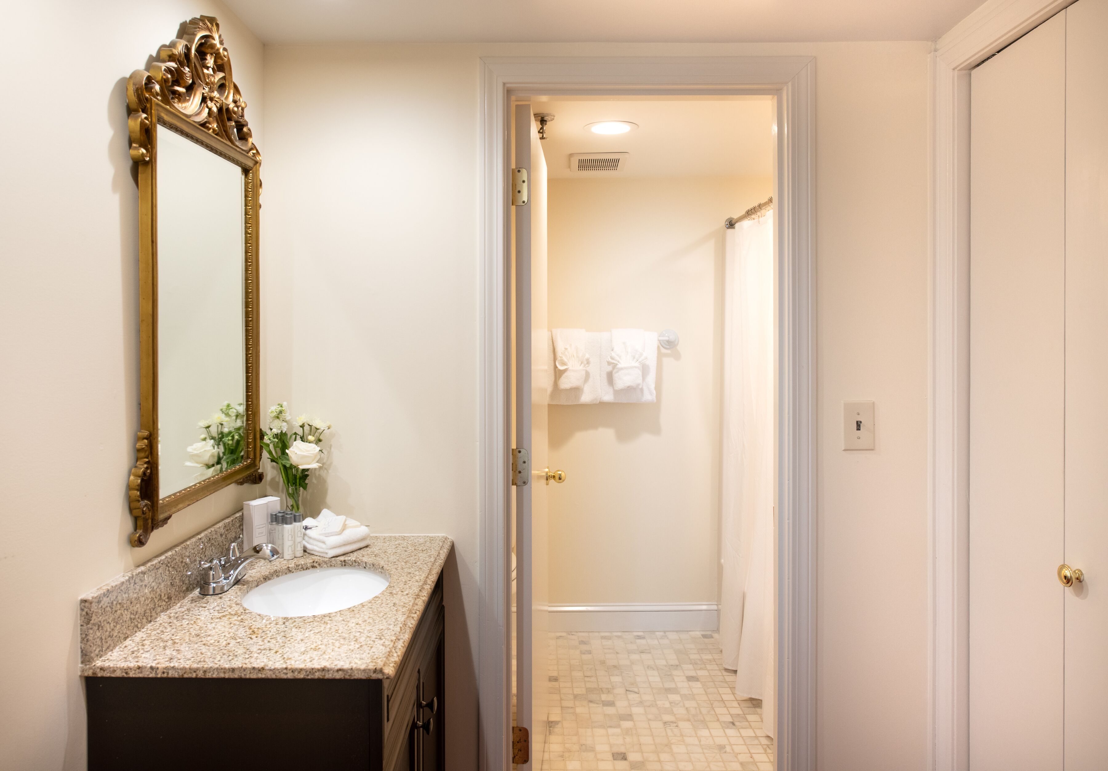 deluxe double room (no pets) | bathroom | free toiletries, hair dryer, towels