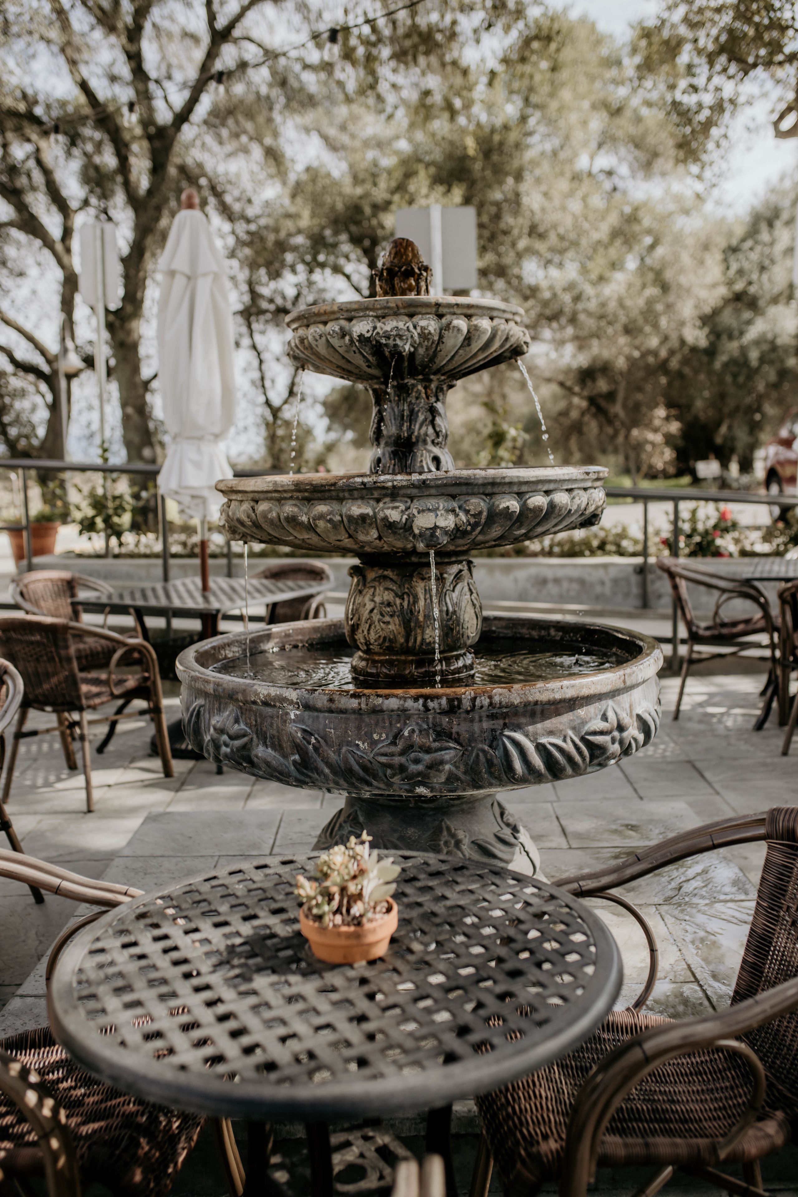 供应早餐、午餐和晚餐，美洲菜，泳池景观