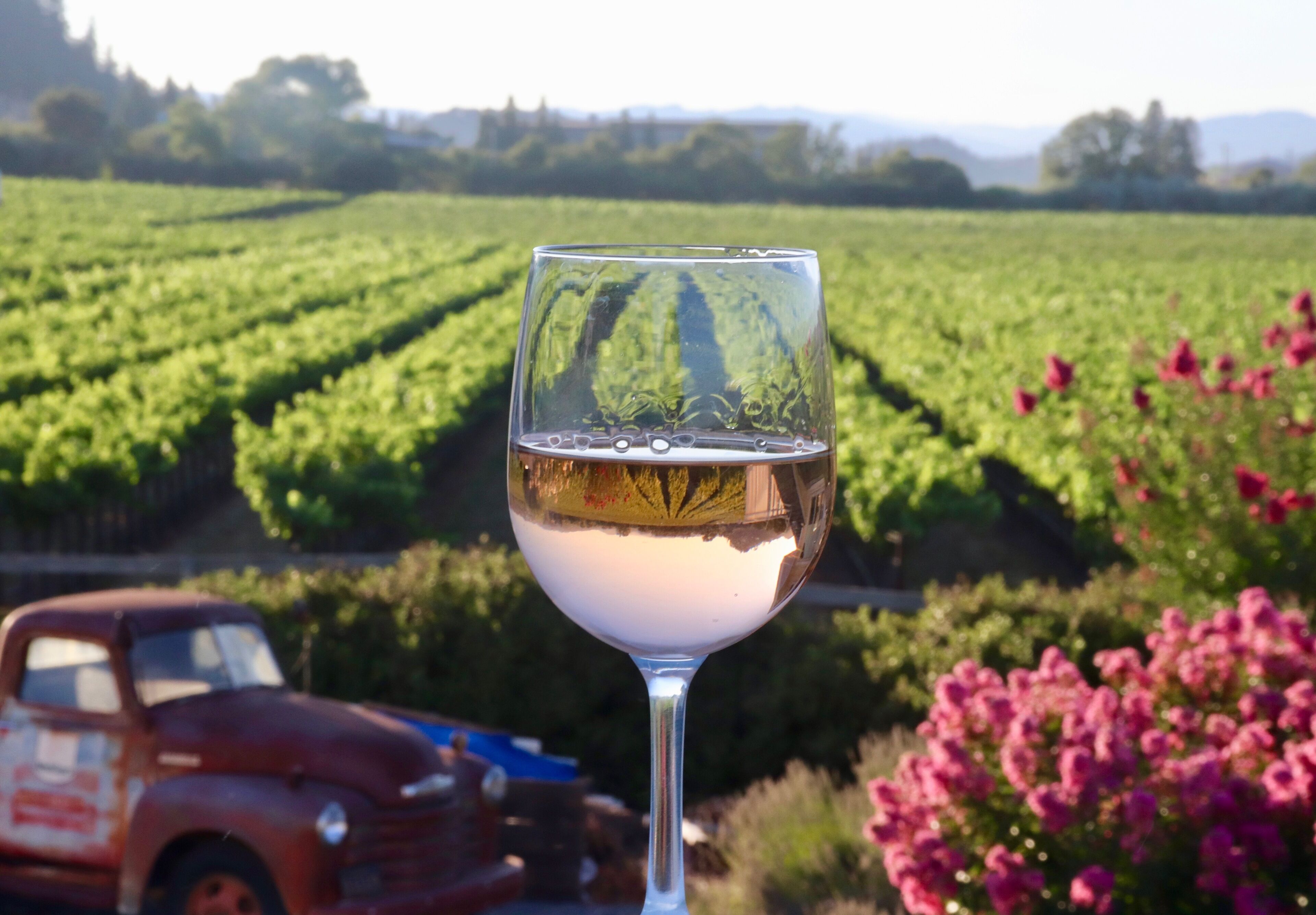 Ein Weinglas mit einem Weinberg im Hintergrund.