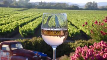 Ein Weinglas mit einem Weinberg im Hintergrund.