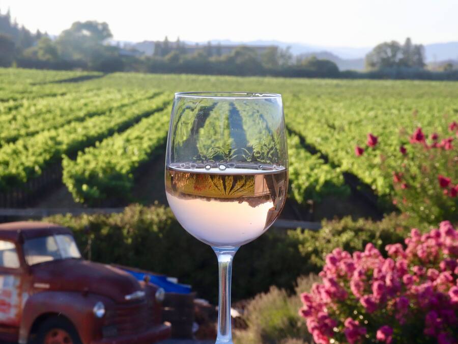 Ein Weinglas mit einem Weinberg im Hintergrund.