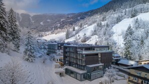 Aerial view - Hotel Der Waldhof (Zell am See)