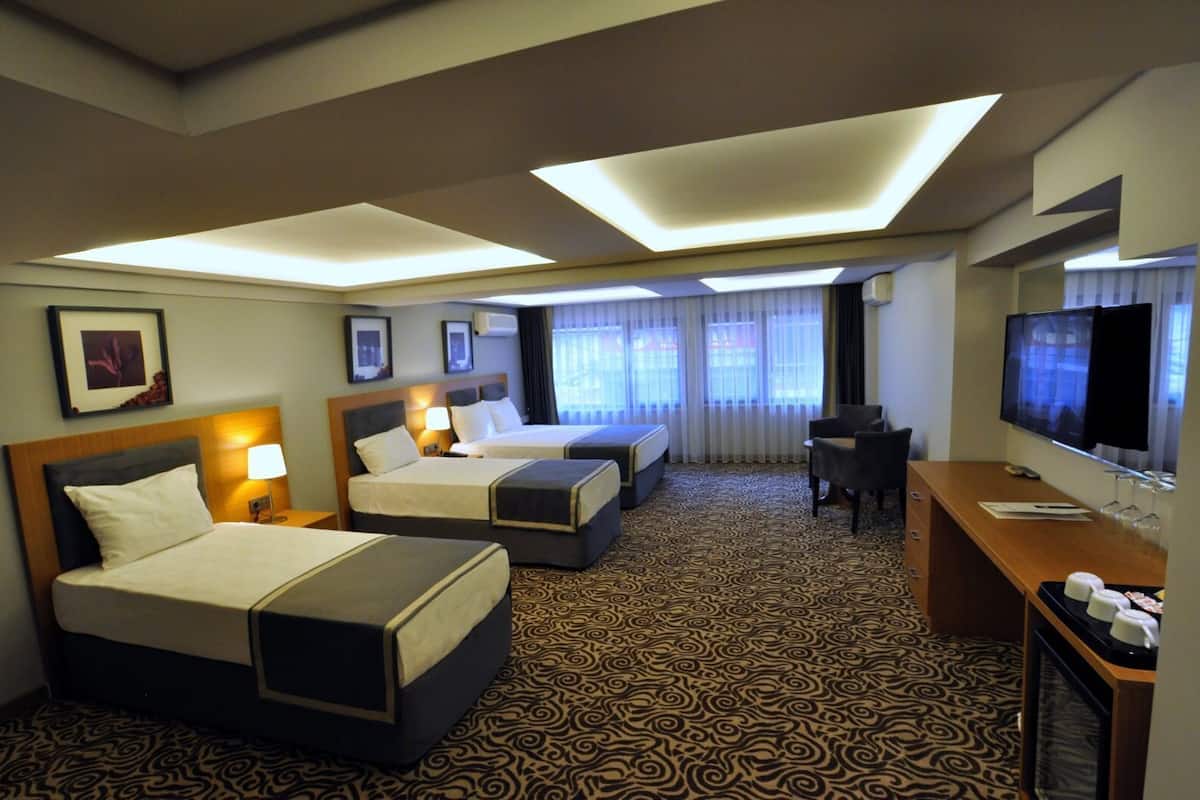 Habitación de hotel con dos camas, un escritorio, un televisor y una alfombra estampada.