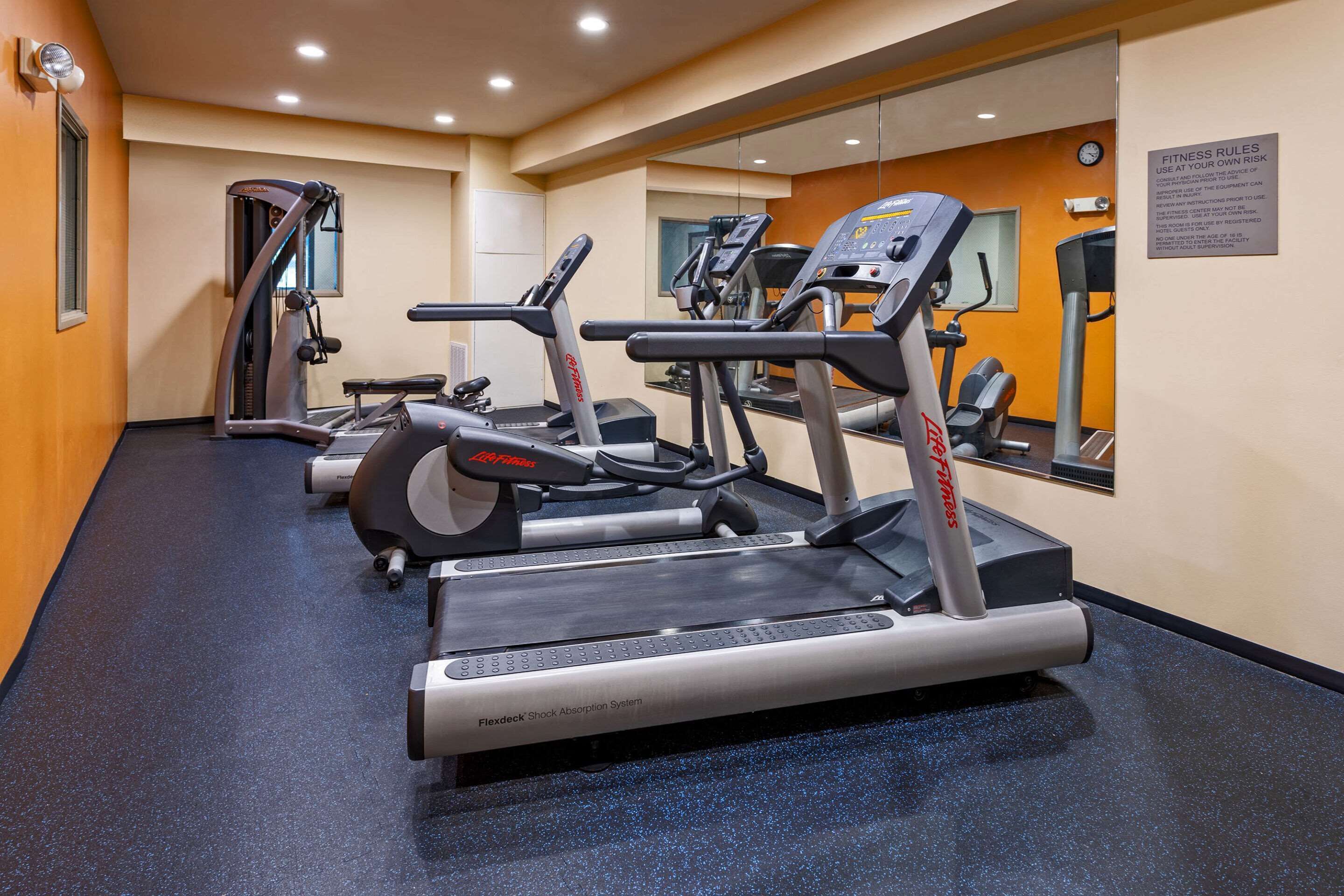 A gym with treadmills, a stationary bike, and a rowing machine.