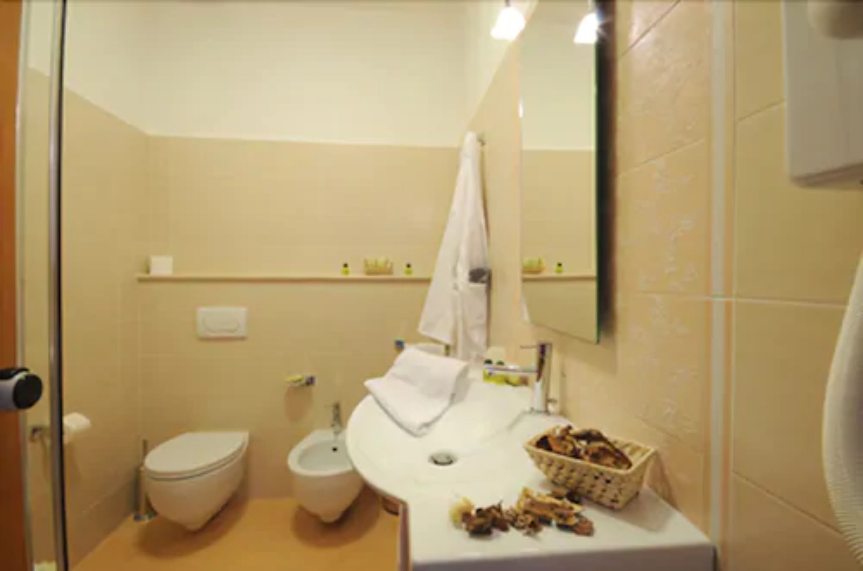 shower, free toiletries, hair dryer, slippers