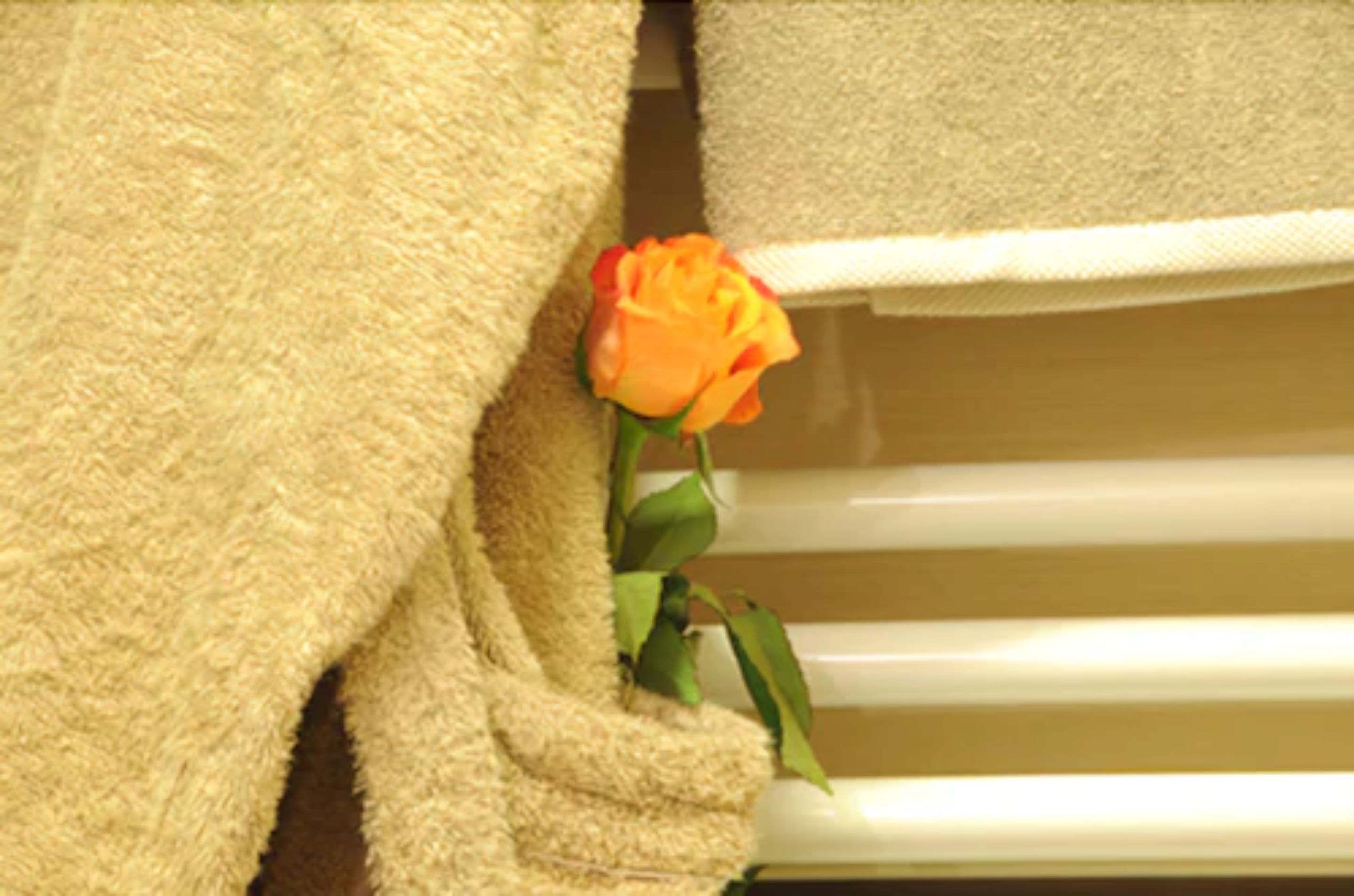 shower, free toiletries, hair dryer, slippers