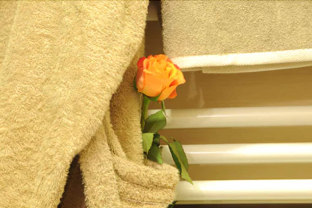 Shower, free toiletries, hair dryer, slippers