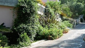 A narrow cobblestone path flanked by lush greenery and flowering plants. - Hotel Martino (Maratea)