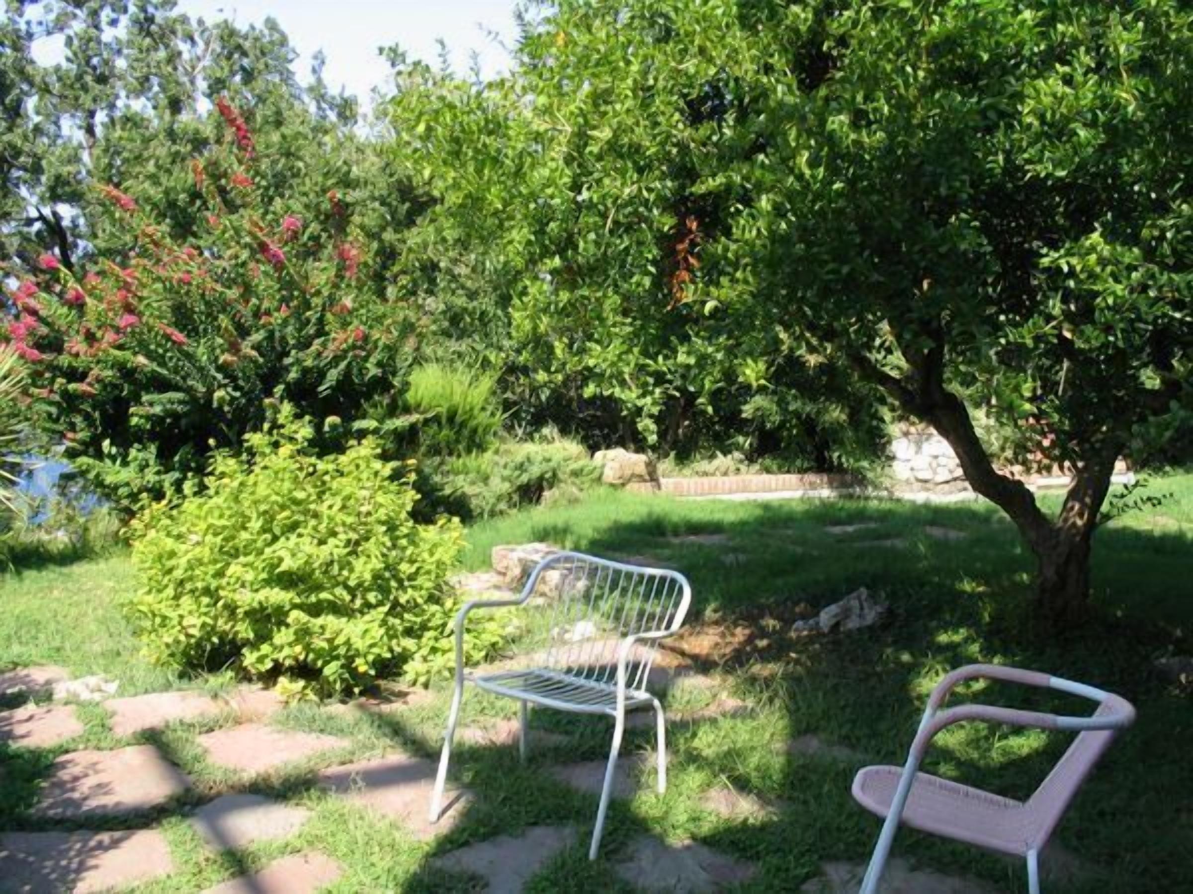 Un jardin avec deux chaises en métal, un chemin de pierres et divers arbustes et arbres verts.