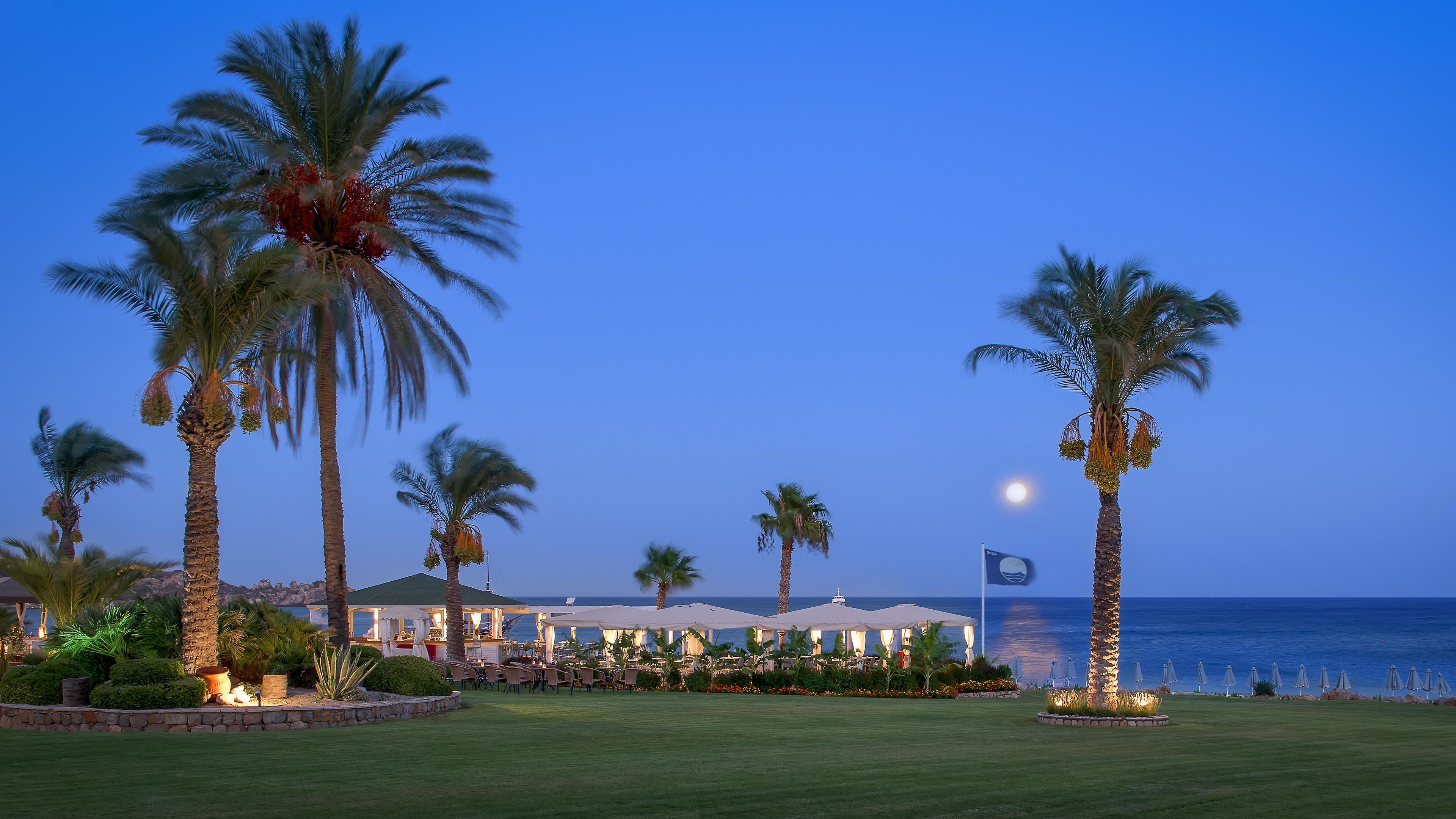 A beachfront resort with outdoor seating, palm trees, and a view of the ocean.