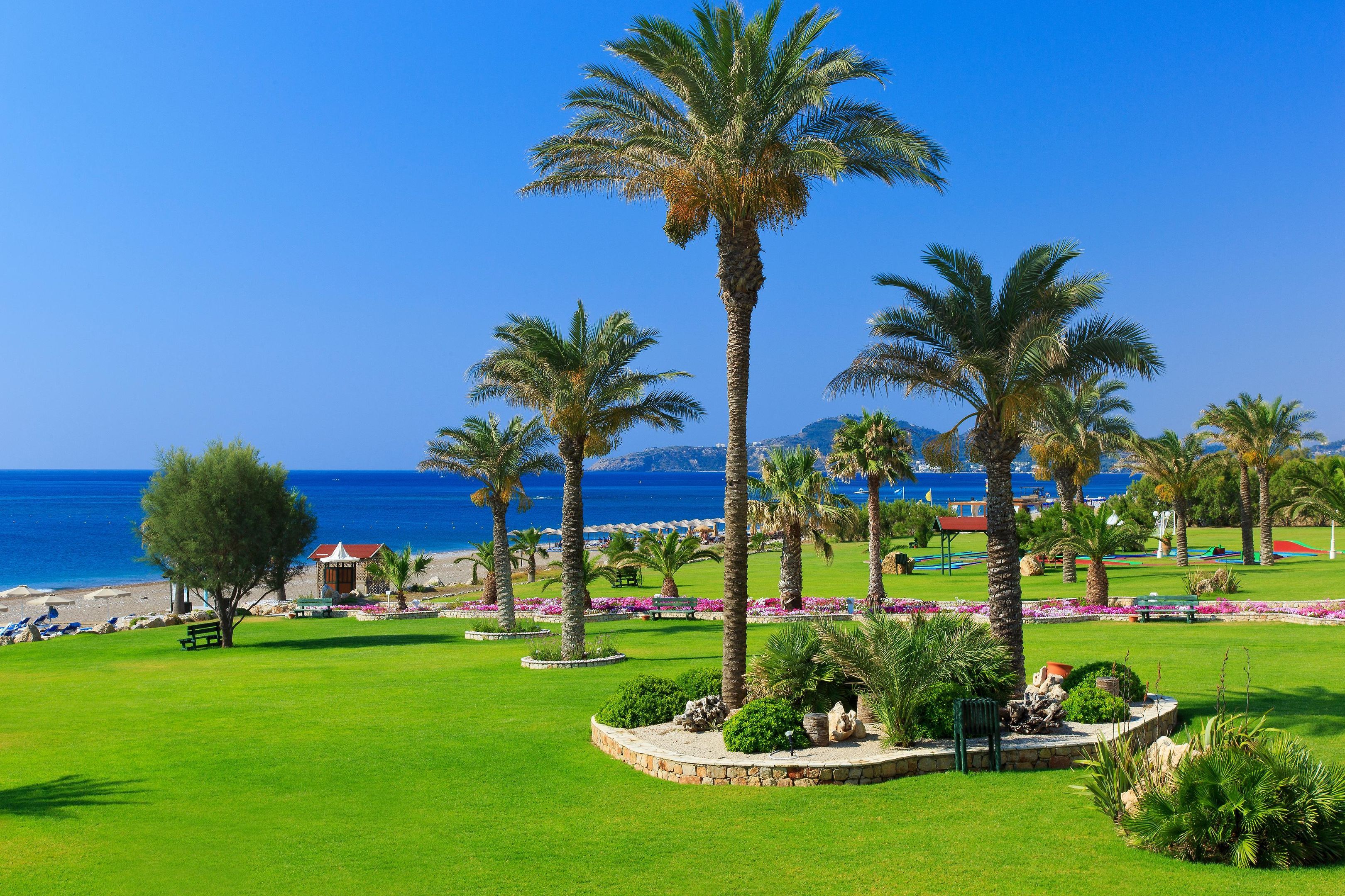 A well-maintained garden with palm trees and a bench, a clear blue sky, and a view of the sea.