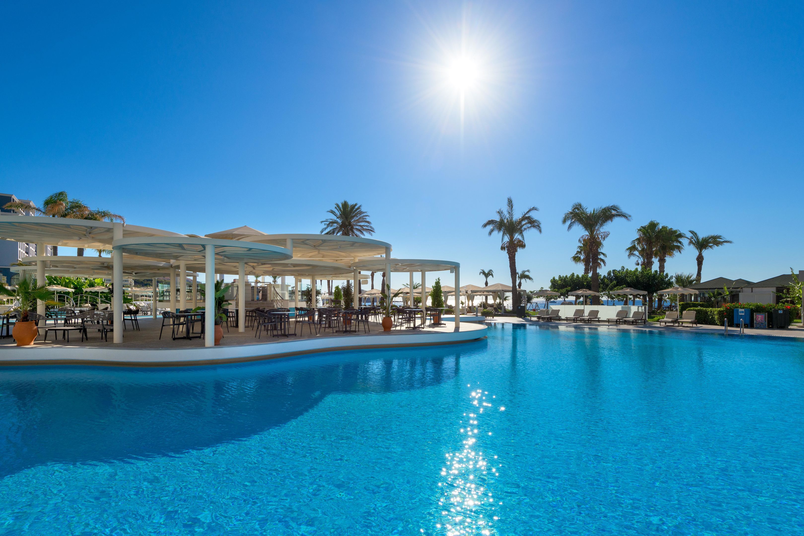 A large outdoor swimming pool with sunlit water, surrounded by lounge chairs and umbrellas, and palm trees in the background.