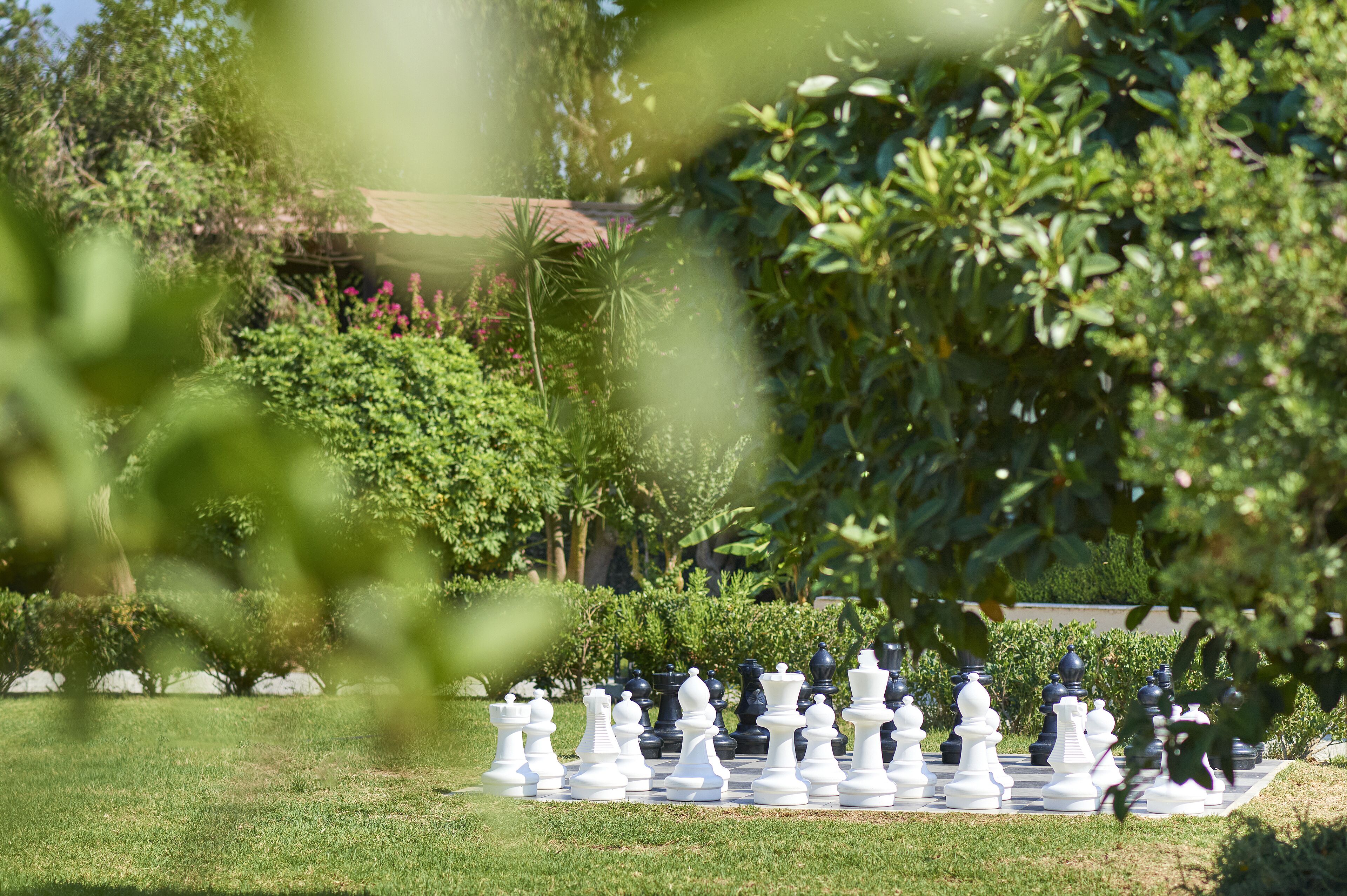 A chessboard set up outdoors with greenery in the background.