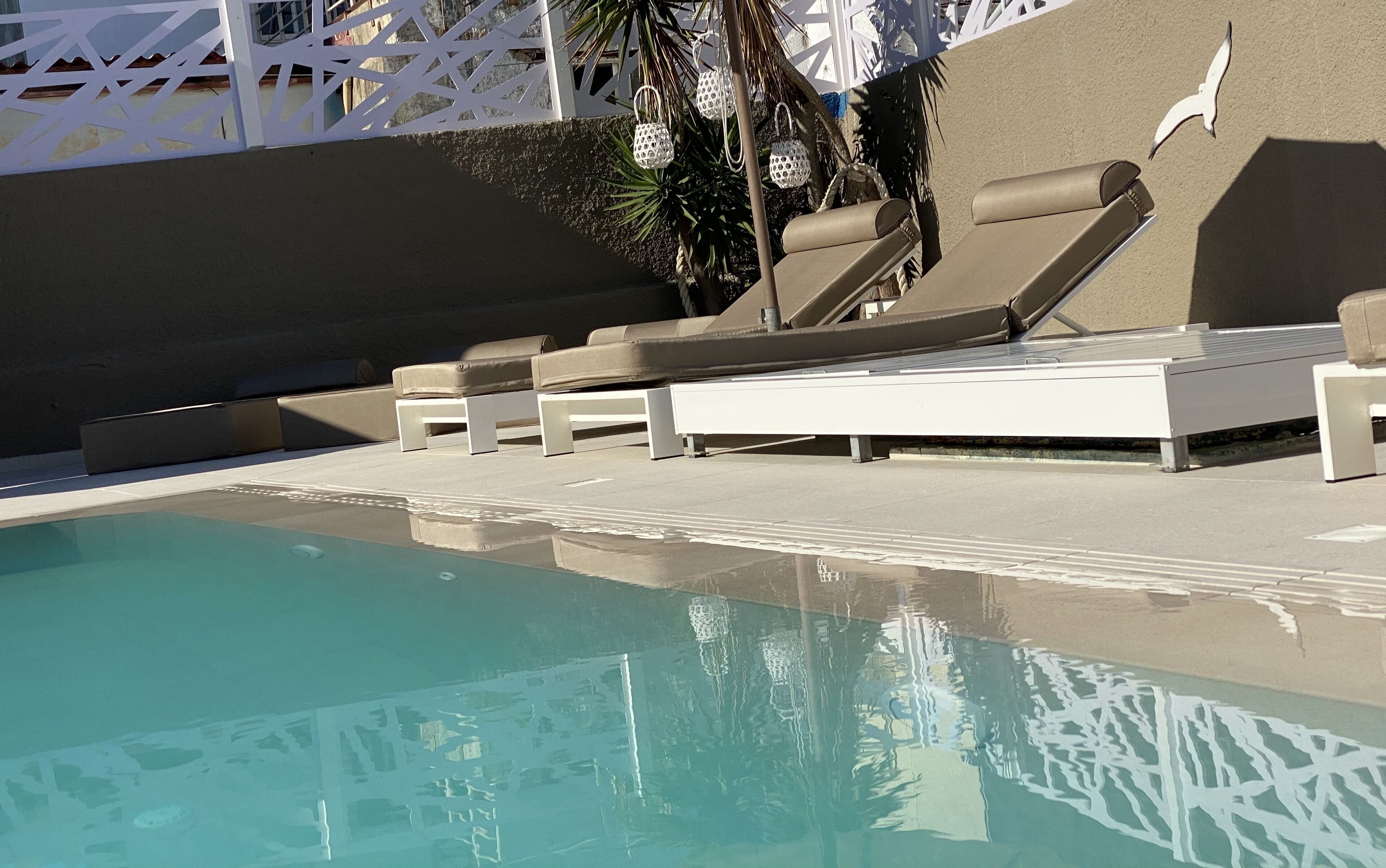 A poolside area with lounge chairs and a palm tree.
