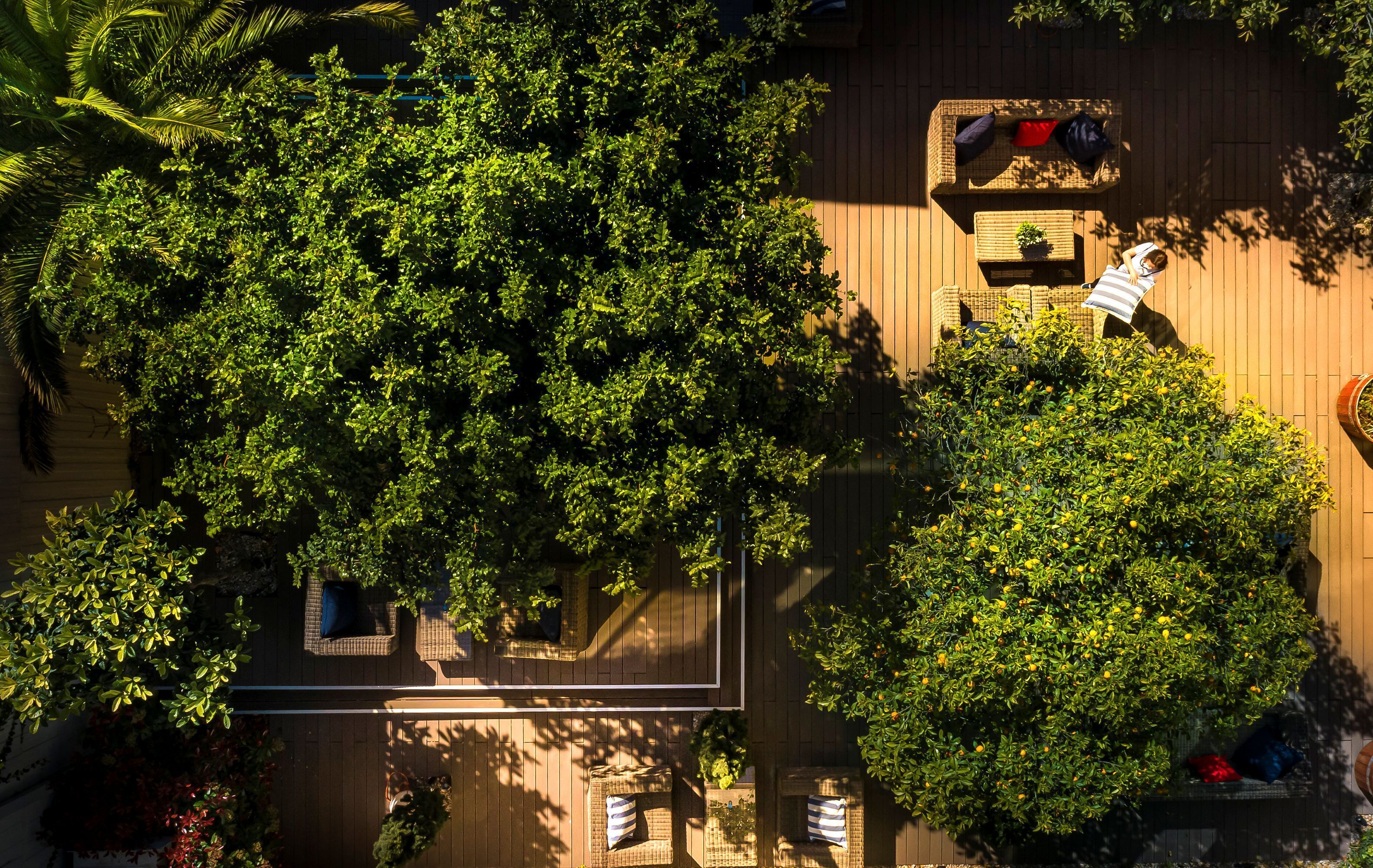 Foto - President Hotel, Valamar Collection