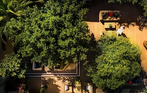 A rooftop garden with various plants and a wooden deck.