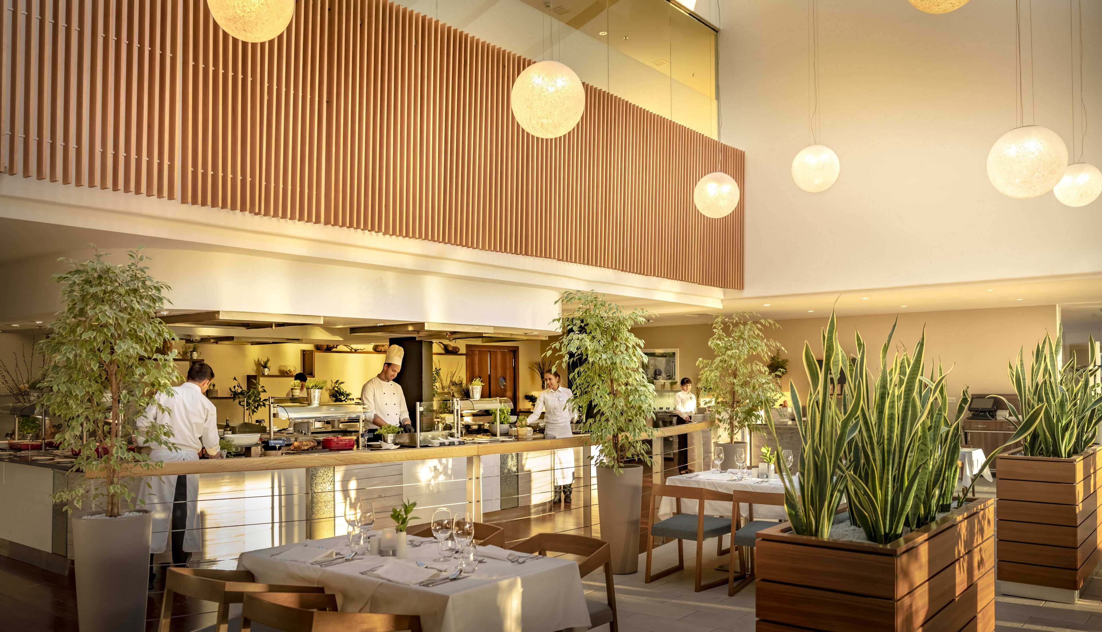 breakfast, dinner served; local and international cuisine, sea views