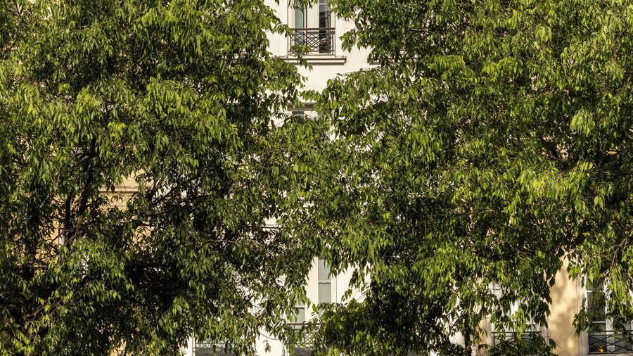 Hôtel MARAIS HÔme
