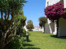 Un jardín bien cuidado con césped, una palmera y flores de buganvilla.