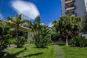 Une cour avec un palmier, un sentier et un bâtiment doté de balcons.