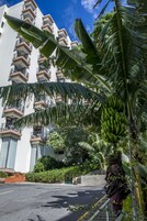 Un edificio a più piani con balconi, circondato da vegetazione lussureggiante e palme da cocco.