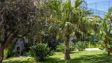 Un exuberante jardín con palmeras y diversas plantas tropicales.