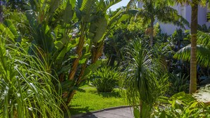 A lush garden with various tropical plants and a paved walkway. - Dorisol Buganvilia Studio Hotel (Funchal)