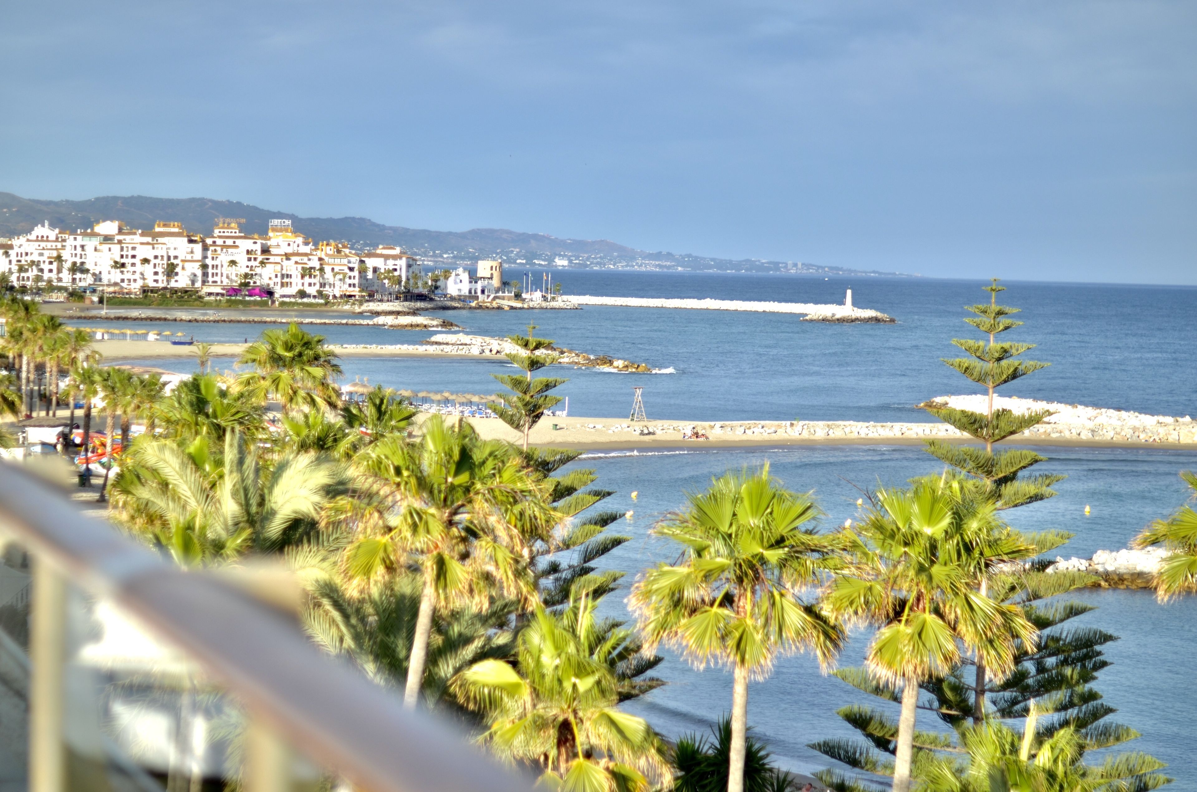 A coastal view with a beach, palm trees, and a row of buildings in the background.