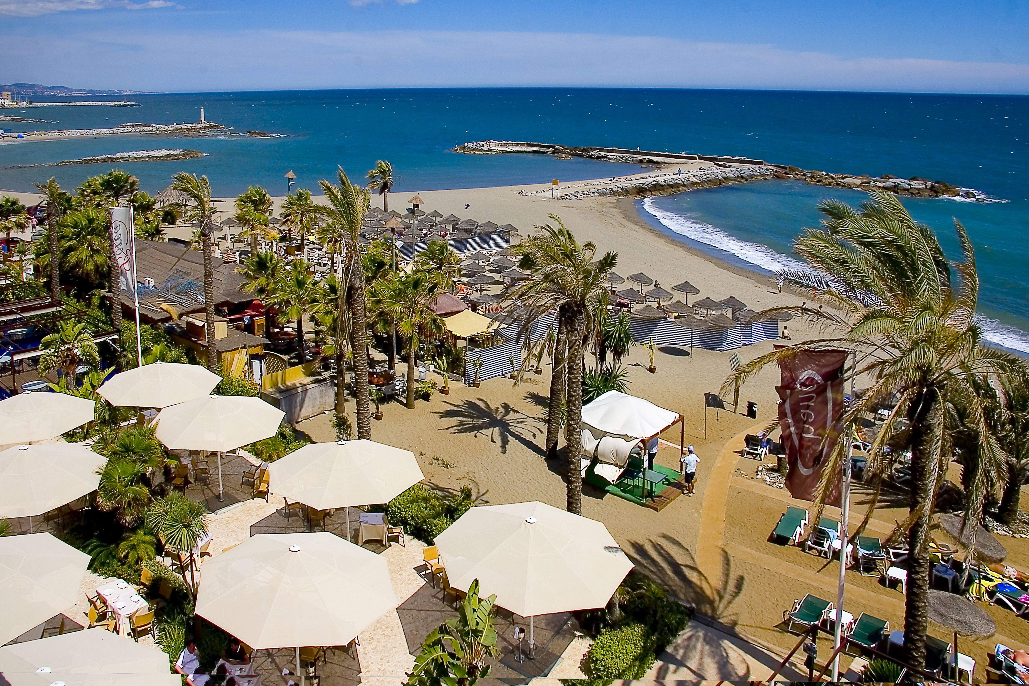 Un resort frente al mar con sombrillas, sillas de descanso y palmeras.