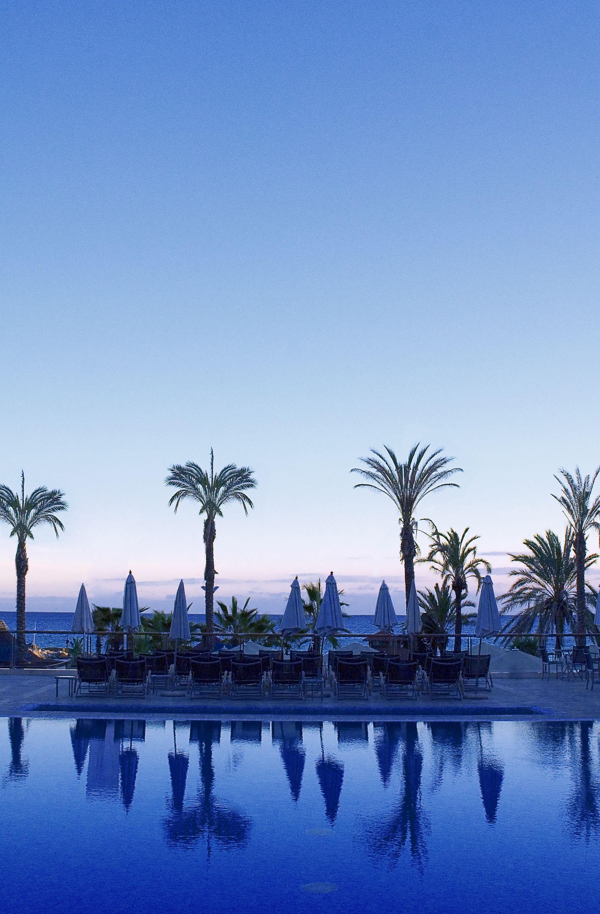 A poolside area with lounge chairs and umbrellas, palm trees, and a view of the sea.