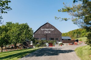 A large barn labeled "Springridge Farm" with a gravel driveway leading to a red door, surrounded by trees and a grassy area. - Holiday Inn Express & Suites Milton by IHG (Milton)