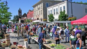 A bustling outdoor market with vendors and shoppers. - Holiday Inn Express & Suites Milton by IHG (Milton)