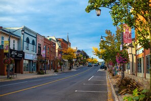 A street lined with historic buildings, a clear road, and a few parked cars. - Holiday Inn Express & Suites Milton by IHG (Milton)