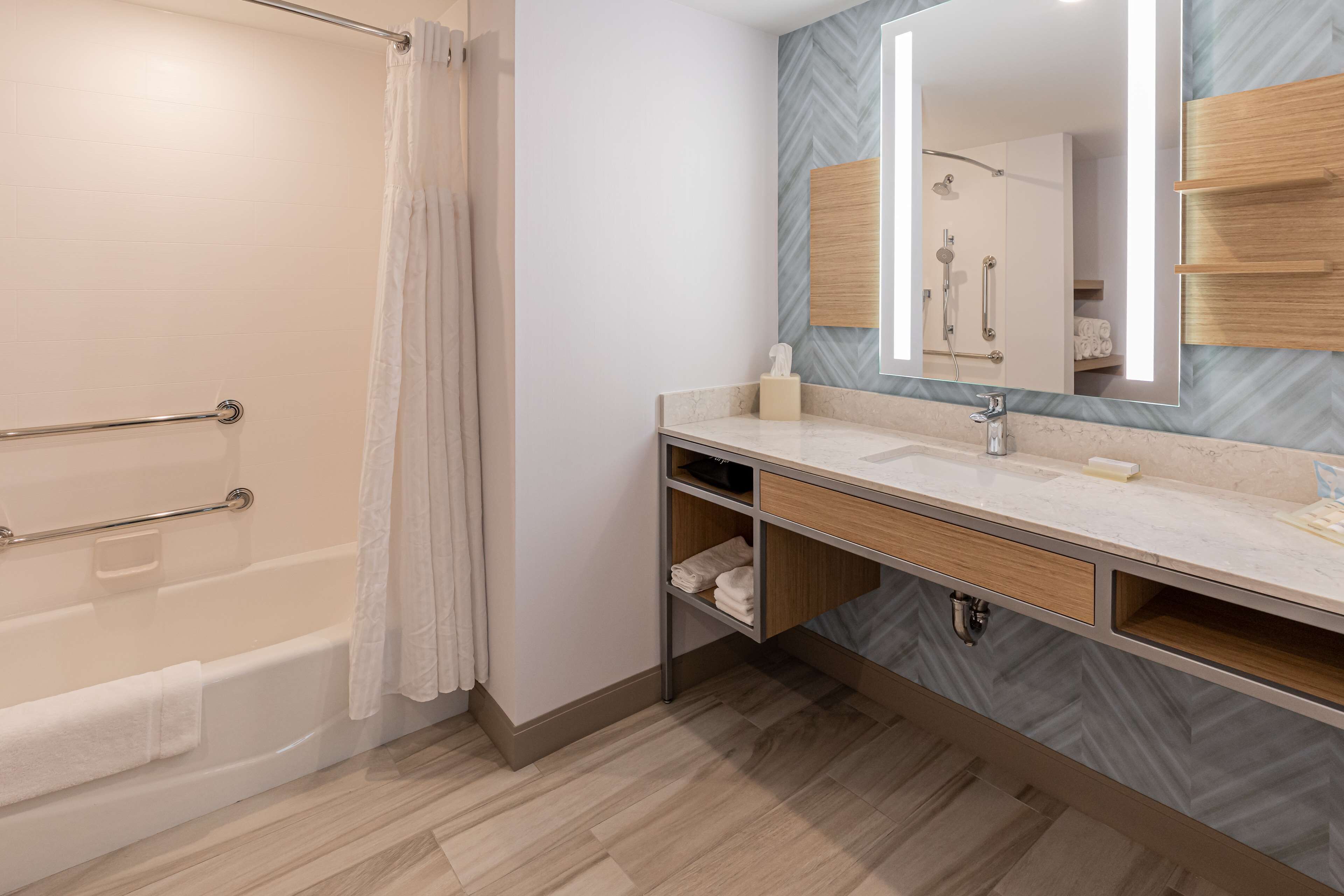 suite, 1 king bed with sofa bed, accessible | bathroom shower