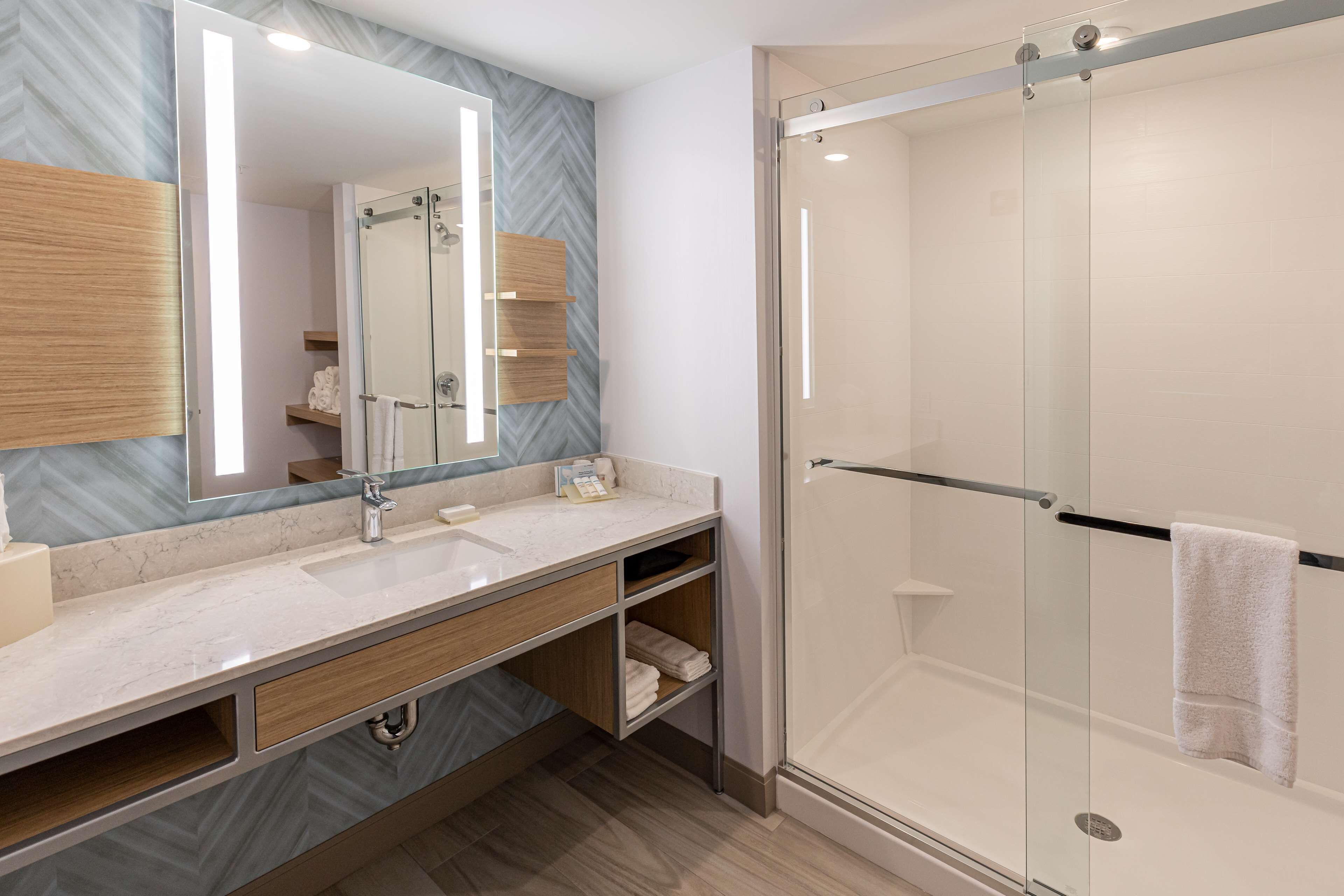 suite, 1 king bed with sofa bed | bathroom shower