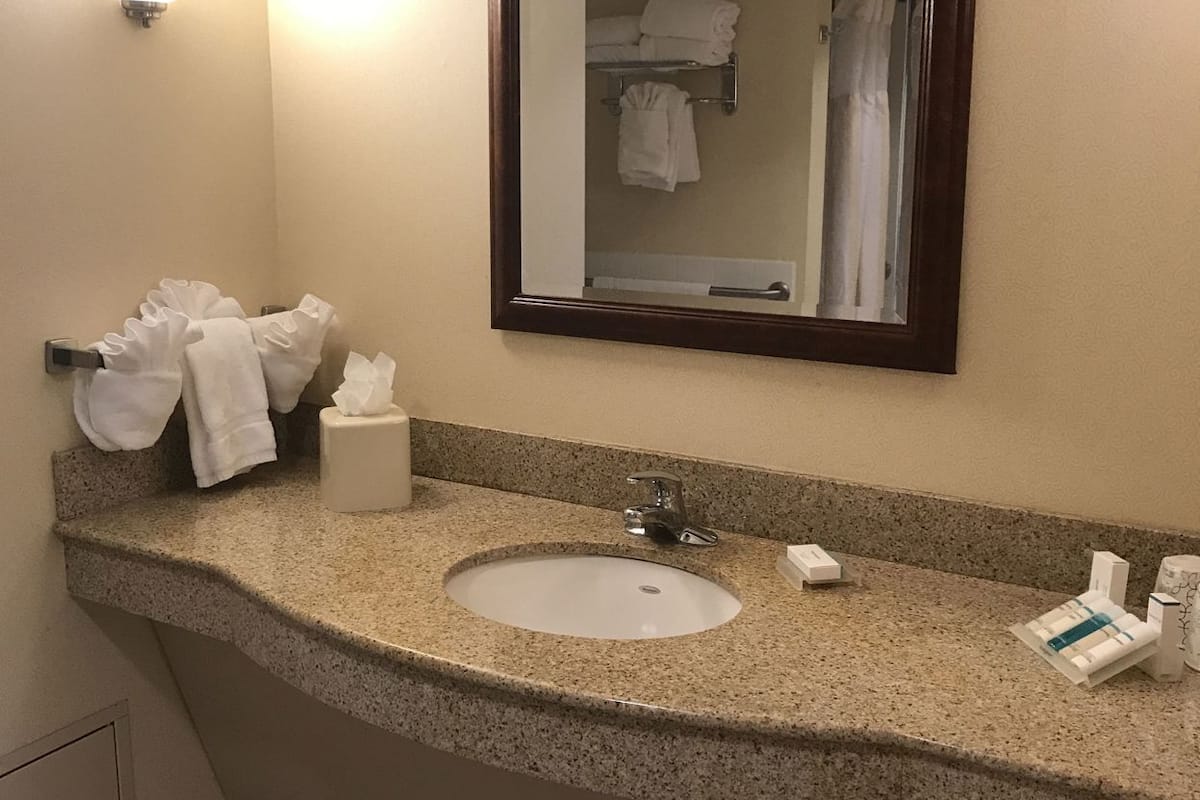 Bathroom | Combined shower/tub, free toiletries, hair dryer, towels