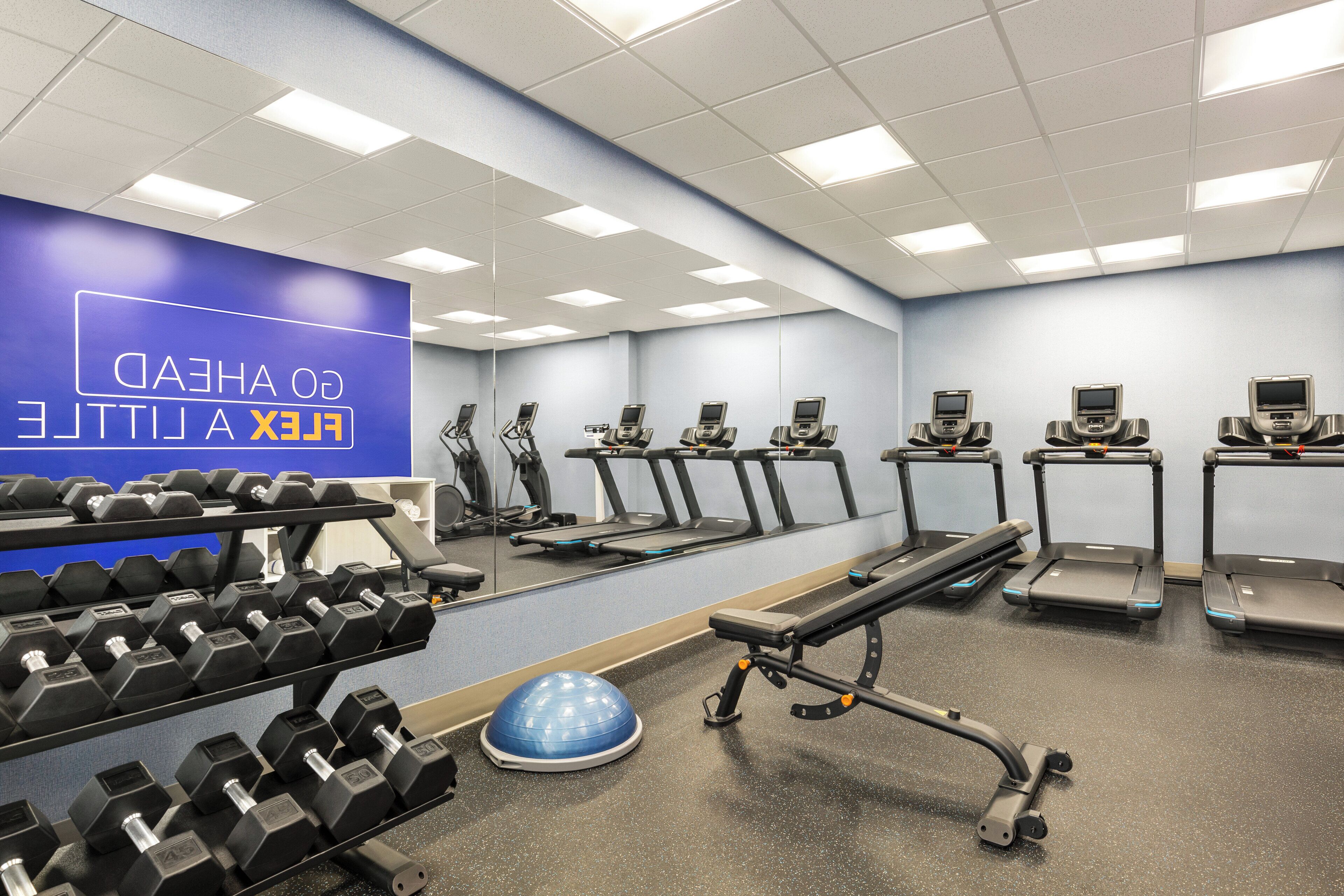 A gym with treadmills, dumbbells, and exercise equipment.