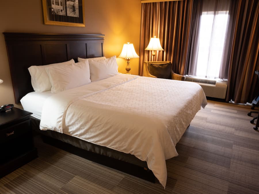 Standard Room, 1 King Bed | Desk, laptop workspace, blackout drapes, iron/ironing board