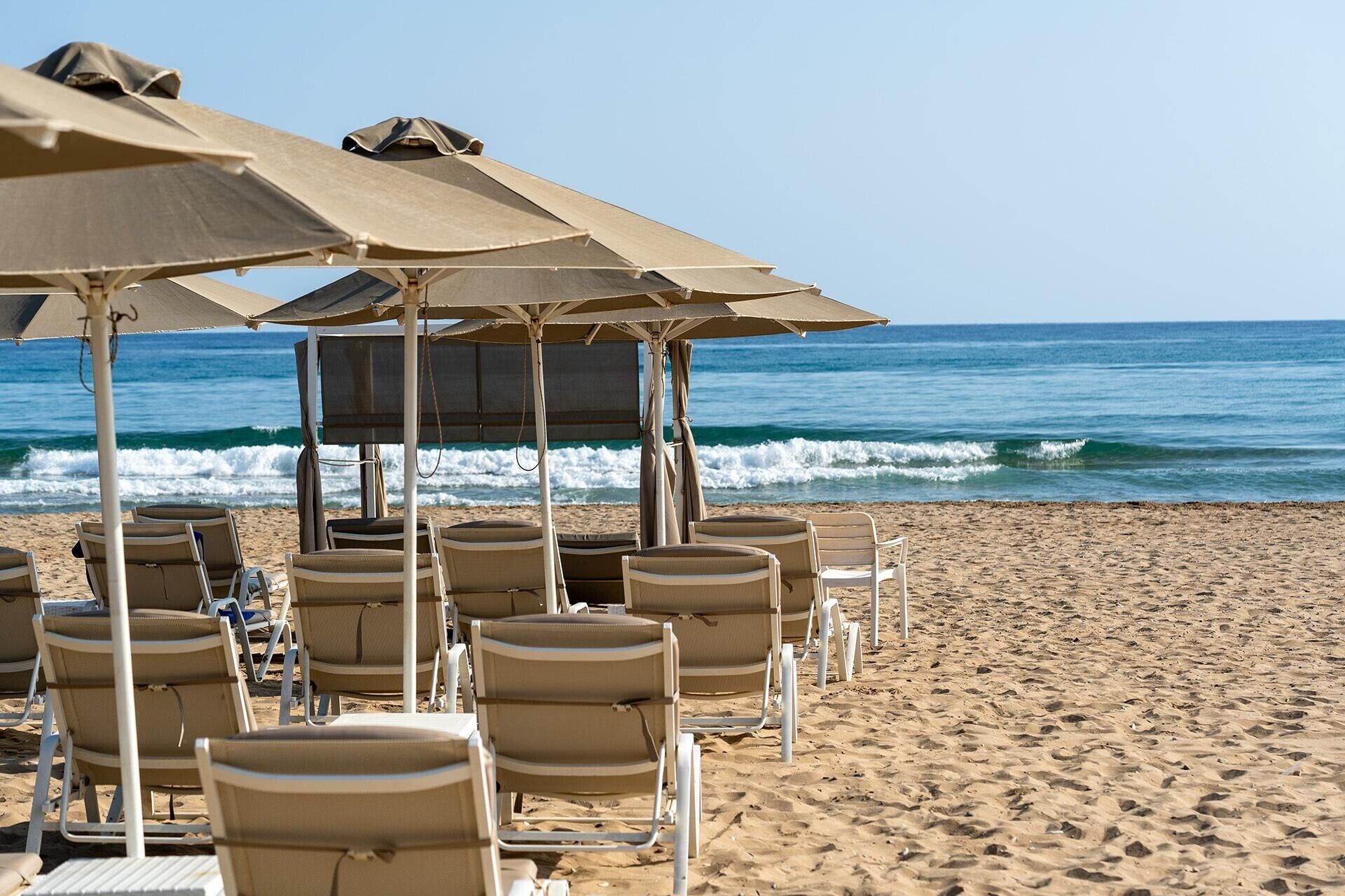 A beach with rows of sun loungers under umbrellas, facing the ocean.